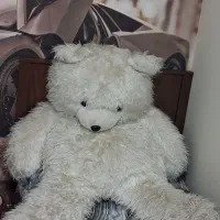 عروسک خرس