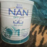 قوطی