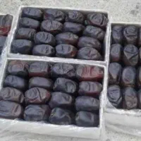 پخش عمده خرما