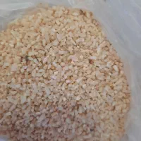 ۴۵ کیلونیمدانه هاشمی امساله