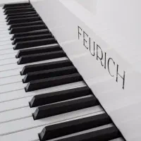 آموزش موسیقی ( خوانندگی ، نوازندگی ، آهنگسازی)