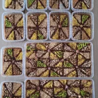 رنگینک خانگی با رطب تازه و پرمغز|خوردنی و آشامیدنی|جهرم, |دیوار