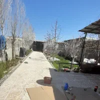 کاشی کاری استا علی