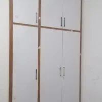 به چندنیروی نیمه ماهروماهرام دی اف کار