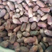 خرما دیری|حراج|اهواز, اسماعیلیه|دیوار