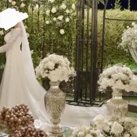 لباس عروس|لباس|شبستر, |دیوار