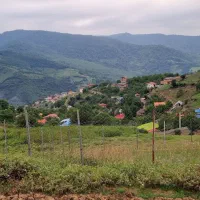 فروش زمین متراژ ۳۵۰ متر پاجی|فروش زمین و ملک کلنگی|فریم, |دیوار