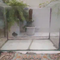 اکواریوم ۸۰ تایی شیشه ۶ میل با چسب بسیار محکم