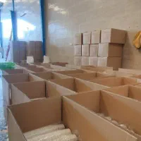 لیوان کاغذی میخوای هستم خدمتتون