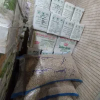 بادام هندی 180 مجوز دار|عمده‌فروشی|تبریز, |دیوار