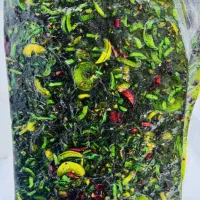 لواشک و ترشک|خوردنی و آشامیدنی|تهران, ترمینال جنوب|دیوار