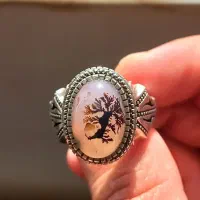 شجر تک درخت قائن