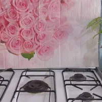 گازفردار سالم|اجاق گاز و لوازم برقی پختوپز|باغ بهادران, |دیوار