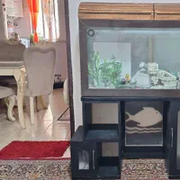 آکواریوم سالم با زیر Mdf|ماهی|کرج, حصارک بالا|دیوار