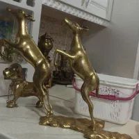 آهو