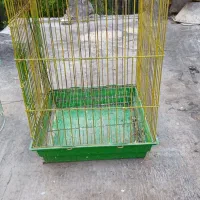 قفس  پرنده سالم