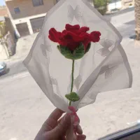 گل رز عروسکی بسیار زیبا مناسب کادو