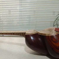 تار دومهر فدایی