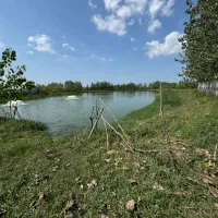 استخر ماهی و زمین نزدیک به شهر رشت