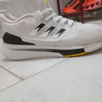 کفش آدیداس اصلی