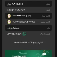 کفتر|پرنده|تهران, فلسطین (میدان انقلاب)|دیوار