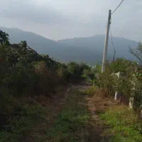 زمین گل کاری و گلخونه|فروش دفتر صنعتی، کشاورزی، تجاری|خرم‌آباد (تنکابن), |دیوار