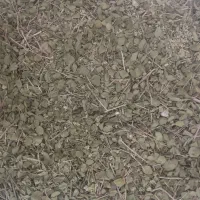 آویشن فروشی