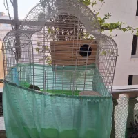 قفس پرنده  ۳ عدد