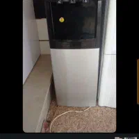 ابسردکن نو توکارتن