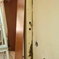 شرکت سمپاشی (تیسان سبز) انواع خدمات حشرات موذی|خدمات نظافت|بندر گناوه, |دیوار