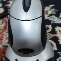 موس|قطعات و لوازم جانبی رایانه|سهند, |دیوار