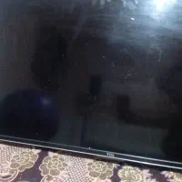 تلوزیون