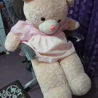خرس بزرگ