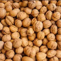 گردو نیمه کاغذی تازه امسال با تناژ بالا