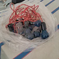 ریسه لامپ رنگی ۱۲ تا سرپیچ داره