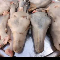 پاک کردن کله پاچه سیرابی گوسفندگوساله