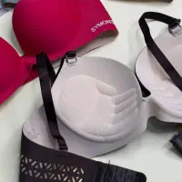 سوتین لیزری تمام جک ماساژور|لباس|اصفهان, نقش جهان|دیوار