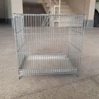 تعداد قفس در سایز های مختلف|لوازم جانبی حیوانات|پردیس, فاز ۴|دیوار