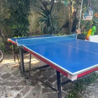 میز تنیس روی میز|ورزشهای توپی|چالوس, |دیوار