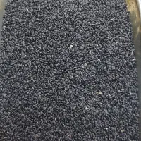 بذر ریحان بنفش