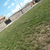 زمین ویلایی در روستای اسکندر