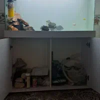 آکواریوم ۱ متر در ۸۰ در ۴۰|ماهی|اسلامشهر, زرافشان|دیوار