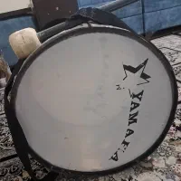 یک نوع تبل سالم