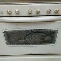 اجاق گاز|اجاق گاز و لوازم برقی پخت‌وپز|اصفهان, مارچین|دیوار