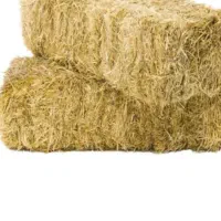 گاه کلش گندم