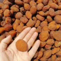 انواع خشکبار|خوردنی و آشامیدنی|تهران, سعادت‌آباد|دیوار