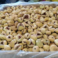 فروش انجیرهای صدیک پرک و سه‌آ مستقیم از باغدار