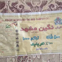 فرش 12 متری|فرش|زاهدان, |دیوار