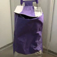 چرخ خرید|کیف، کفش، کمربند|مشهد, دانشجو|دیوار