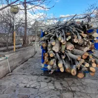 خریدوفروش چوب سپیداروضایعات